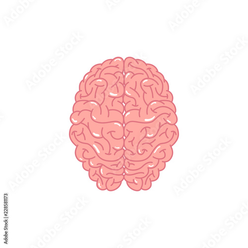 Human brain vector concept