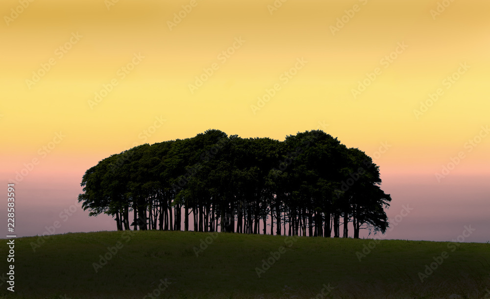 Fototapeta premium Cookworthy Knapp to zagajnik w pobliżu drogi krajowej A30 w Lifton Devon. Kilka mil od granicy z Kornwalią powszechnie wiadomo, że powrót mieszkańców Kornwalii jest potwierdzeniem, że są już prawie w domu