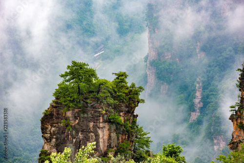 Fototapeta Naklejka Na Ścianę i Meble -  Early morning mist in the Tianzi Mountain Natural Reserve near Xiangyuan Inn, Helong Park. Wulingyuan, Zhangjiajie, Hunan, China.