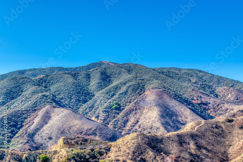 Mountains regrow after forest fire damage 