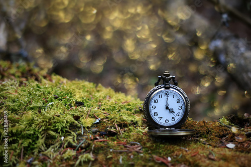 Mystical scene of a brass pocket watch on green moss in a forest