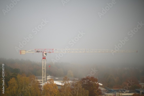 Huge craine in fog photo