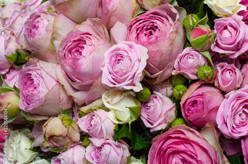 Fototapeta Naklejka Na Ścianę i Meble -  Elite bouquet of beautiful luxury roses, close-up