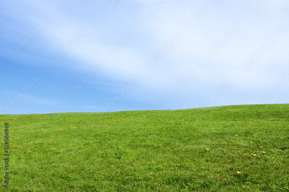 Green grass field on hill with blue sky and clouds
