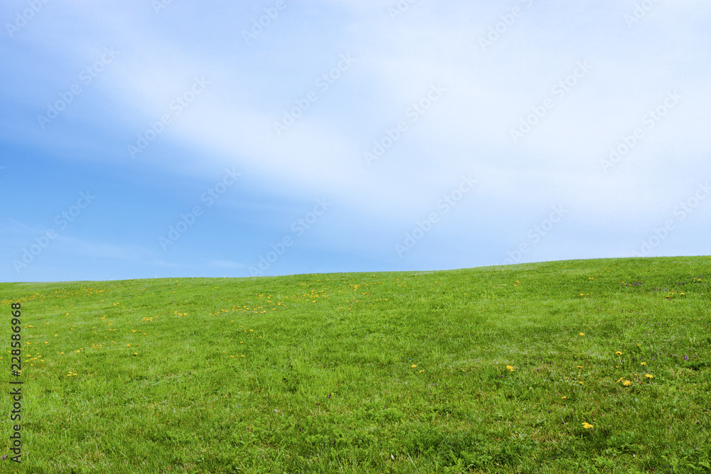 Green grass field on hill with blue sky and clouds Green grass field on hill with blue sky and clouds