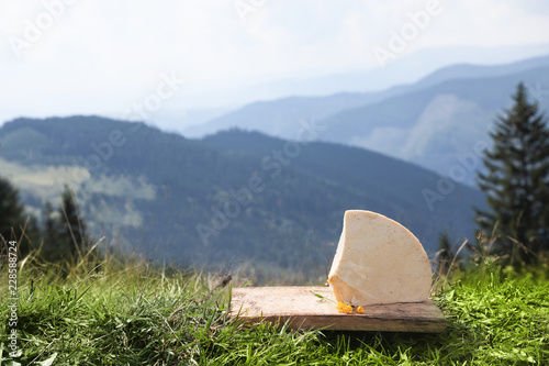 Wooden board with delicious cheese on grass in mountains. Space for text