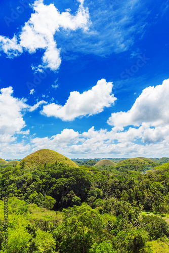 View of the Chocolate hills on sunny day on Bohol island  Philippines. Vertical.