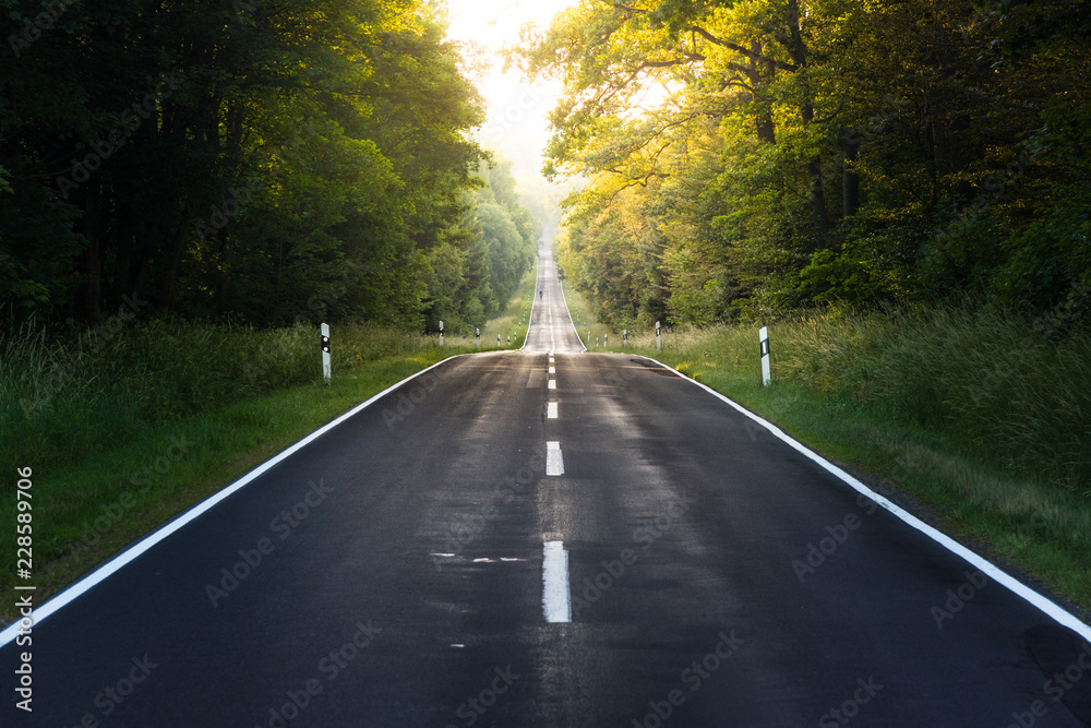 Obraz premium Landstraße durch den Wald