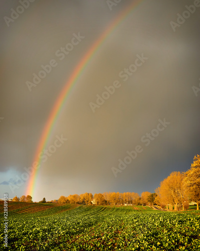 Field of grass and Rainbow and dramatic gray sky with clouds landscape