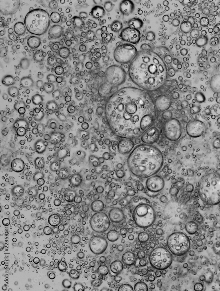 bubbles in water close-up black-and-white background