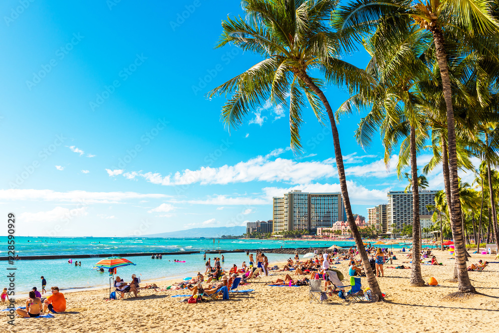 Naklejka premium Honolulu, Hawaje - 16 lutego 2018: Widok piaszczystej plaży Waikiki miasta. Skopiuj miejsce na tekst.
