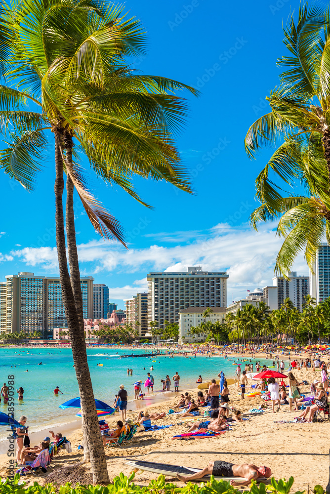 Obraz premium HONOLULU, HAWAII - FEBRUARY 16, 2018: View of the Waikiki beach. Copy space for text. Vertical.