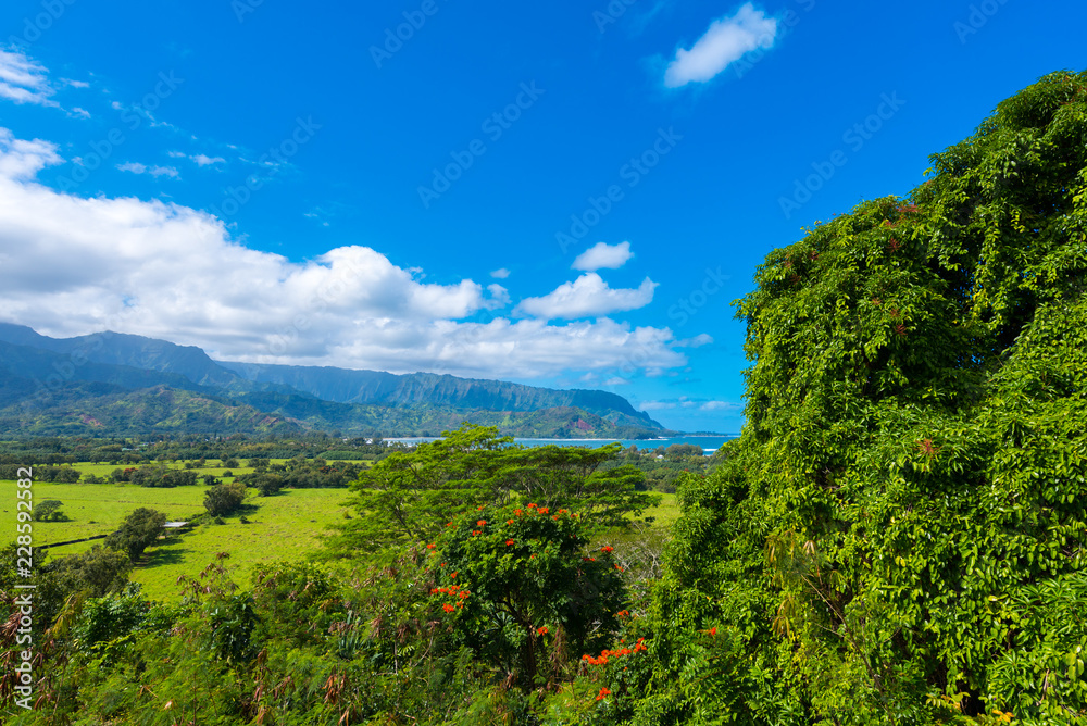 Fototapeta premium View of the mountain landscape, Kauai, Hawaii, USA. Copy space for text.