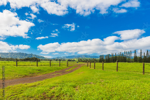 View of the mountain landscape, Kauai, Hawaii, USA. © ggfoto