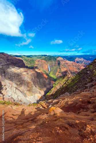 Amazing Waimea canyon in Kauai, Hawaii islands, USA. Copy space for text. Vertical. © ggfoto