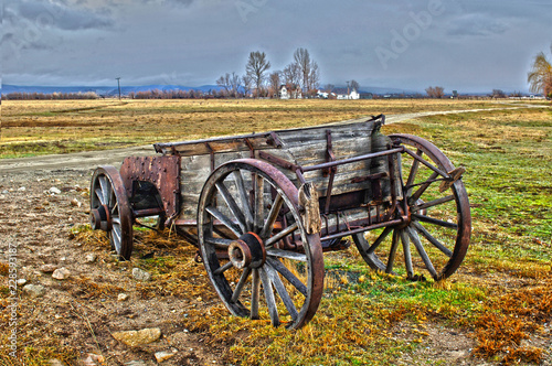 Old Wagon in Field photo