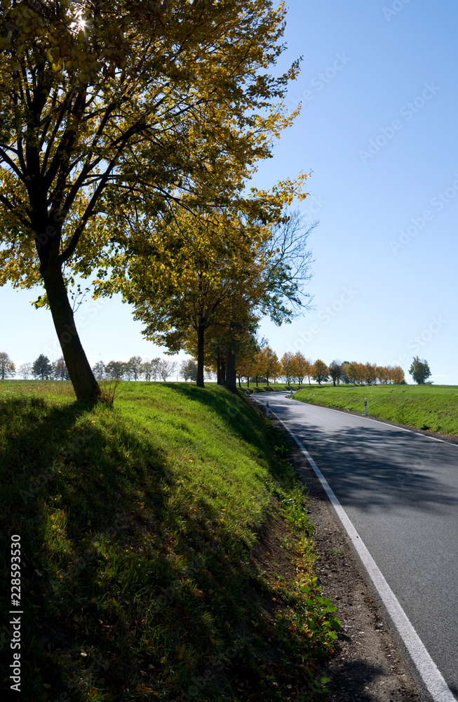 Fototapeta premium Ponitz / Germany: Winding country road in Eastern Thuringia on a sunny day in October