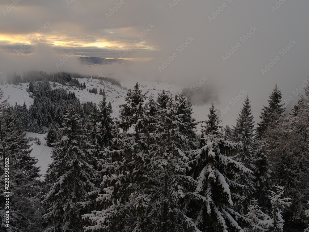 aerial view of fresh snow covered winter forest in high mountains in sunset on christmas eve