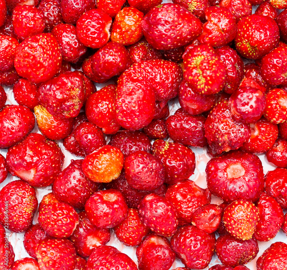 Strawberry - full frame Strawberry - full frame
