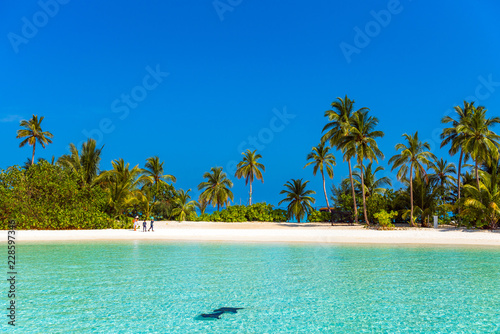 View of the paradise sandy beach  Maldives. Copy space for text.