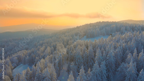 AERIAL: Breathtaking view of lonely wooden cabin in the snowy woods at sunrise.