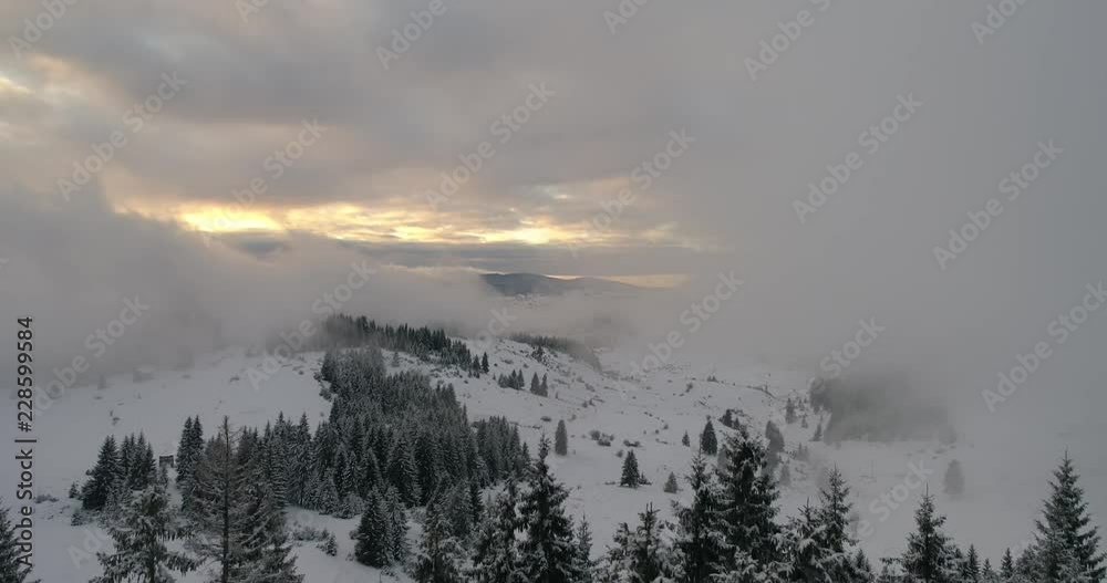 aerial view of fresh snow covered winter forest in high mountains in sunset on christmas eve aerial view of fresh snow covered winter forest in high mountains in sunset on christmas eve