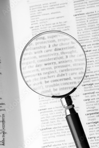 Canvastavla Close Up of Specific Word Care in a Dictionary with Loupe