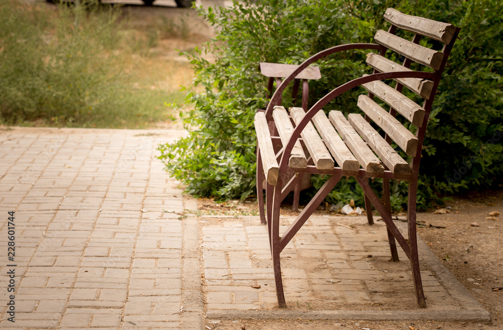 bench in the autumn park