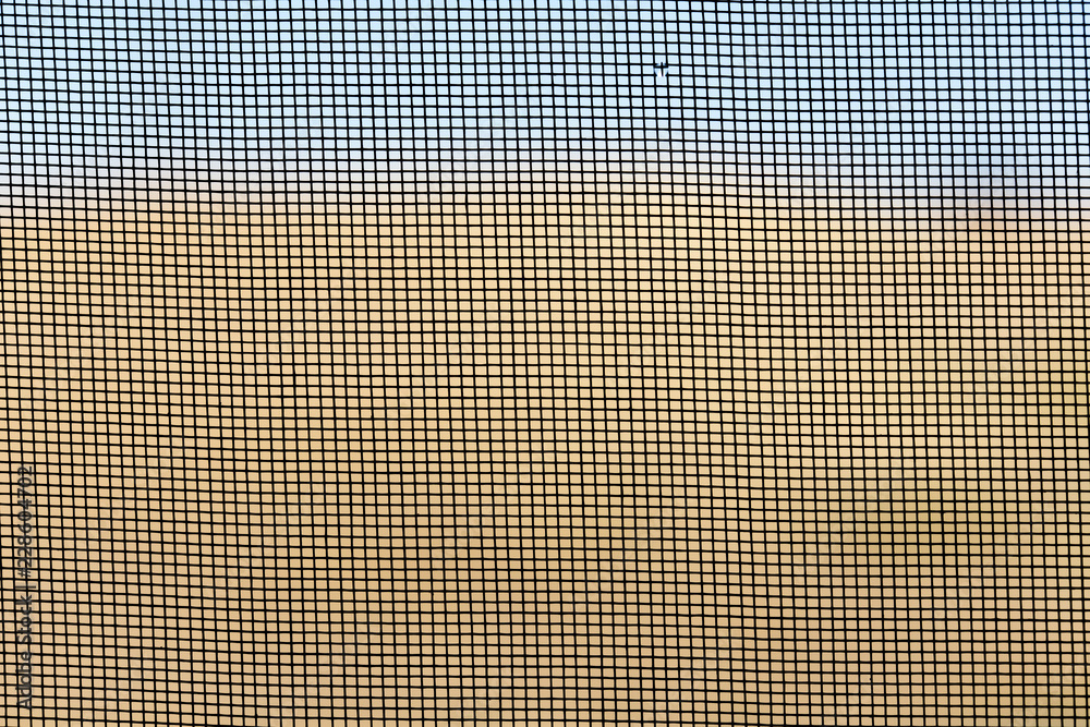 Mosquito wire screen texture on the window Mosquito wire screen texture on the window