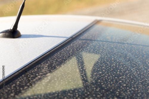 Dirty car glass texture. Background and texture. photo