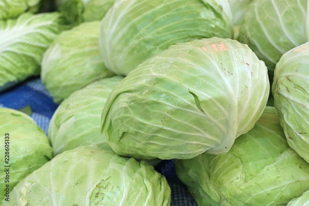 cabbage at the market cabbage at the market