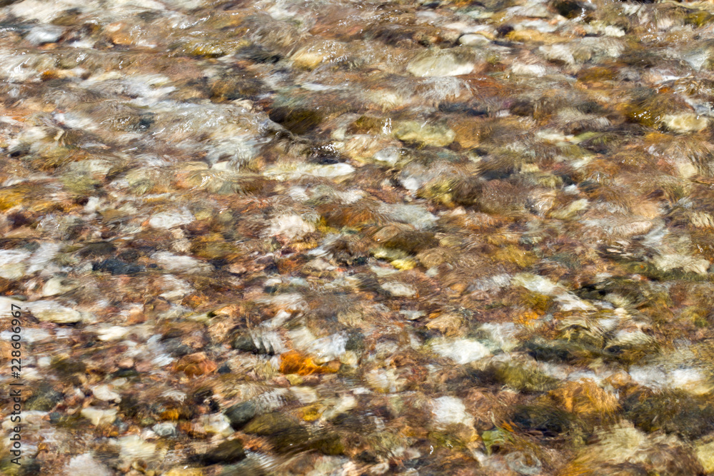 colorful rolling stones sea bottom pattern musk seaweed colorful rolling stones sea bottom pattern musk seaweed
