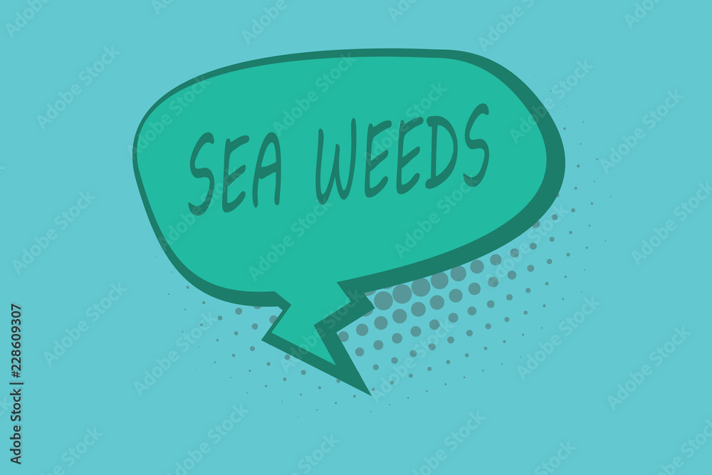Conceptual hand writing showing Sea Weeds. Business photo showcasing Large algae growing in the sea or ocean Marine plants flora. Conceptual hand writing showing Sea Weeds. Business photo showcasing Large algae growing in the sea or ocean Marine plants flora.