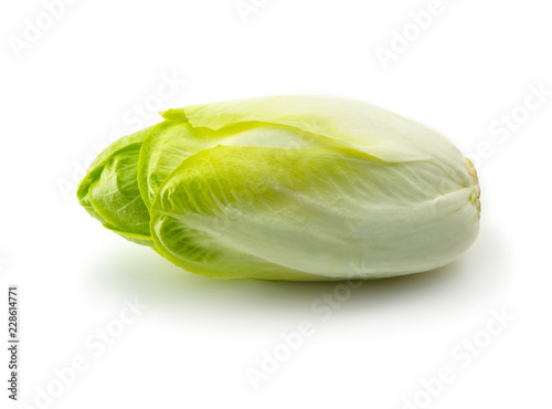 Quadro su tela Endive (Cichorium endivia) with beautiful soft green leaves, isolated on white