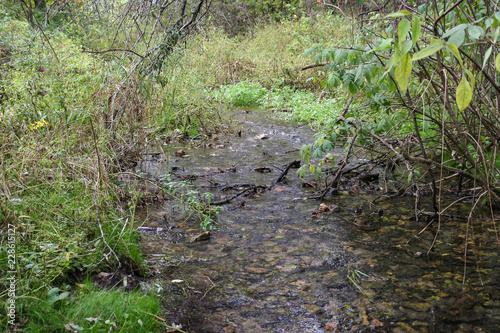 Stream at Governor Dodge.