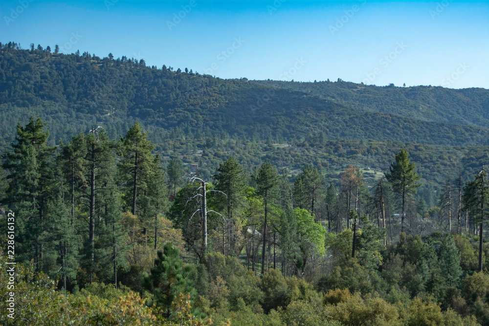 San Bernadino Mountains in Southern California USA