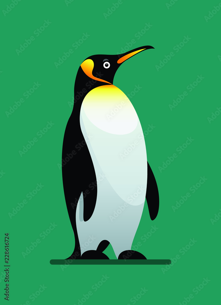 Fototapeta premium penguin winter animal flat style vector illustration