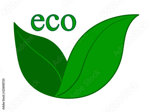 flat vector green word eco with green leaves on the white background.
