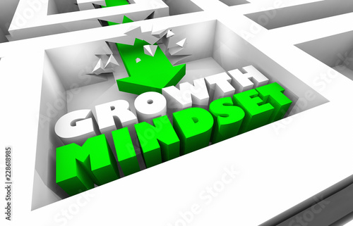 Growth Mindset Increase Success Maze Arrow 3d Illustration photo