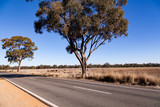 Outback Australia and its dry interia landscape full of relics bone fossils and motor bikesl