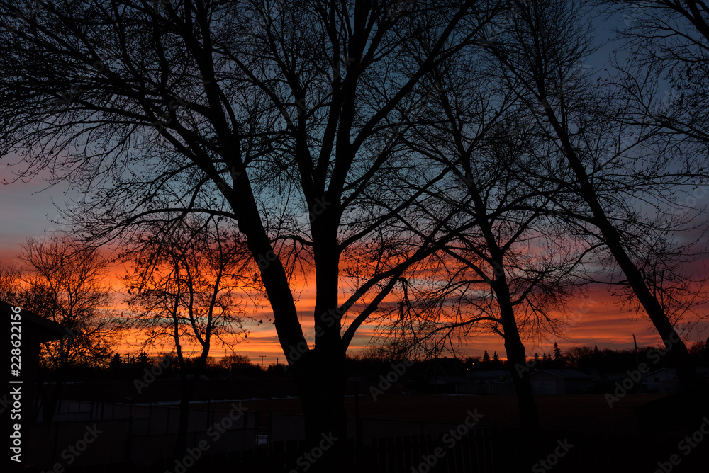 morning sunrise morning sunrise