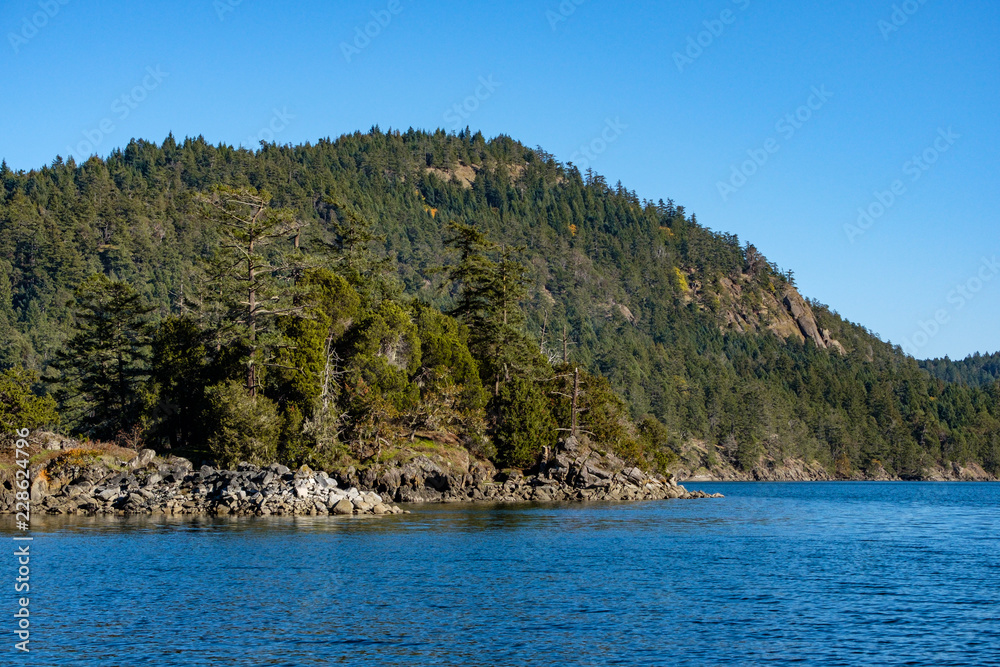 forest covered island by the blue ocean under the blue sky forest covered island by the blue ocean under the blue sky