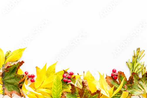 Mockup with bright autumn leaves and berries. Yellow and green leaves  red berries on white background top view copy space