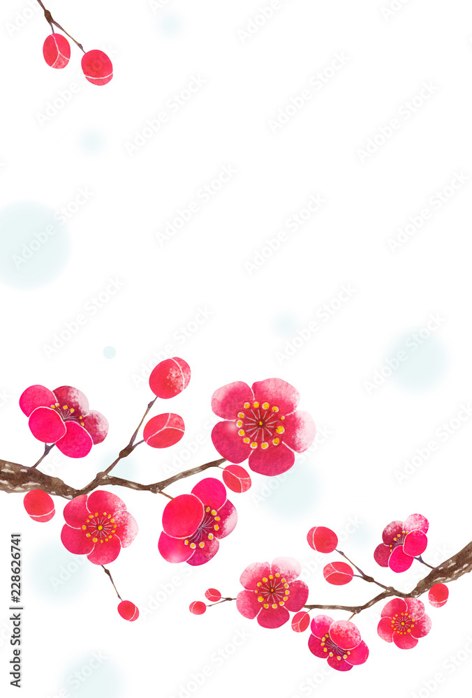 梅の花 寒中見舞い 年賀状 雪 水彩 イラスト Stock Illustration Adobe Stock
