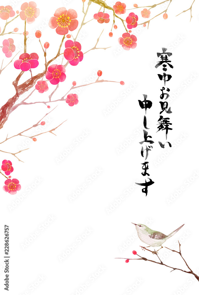 梅の花 寒中見舞い 文字入り ウグイス 水彩 イラスト Stock Illustration Adobe Stock