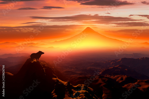 富士山の日の出とイノシシのシルエット © bigfoot