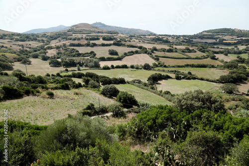 Colorful panorama over the fields