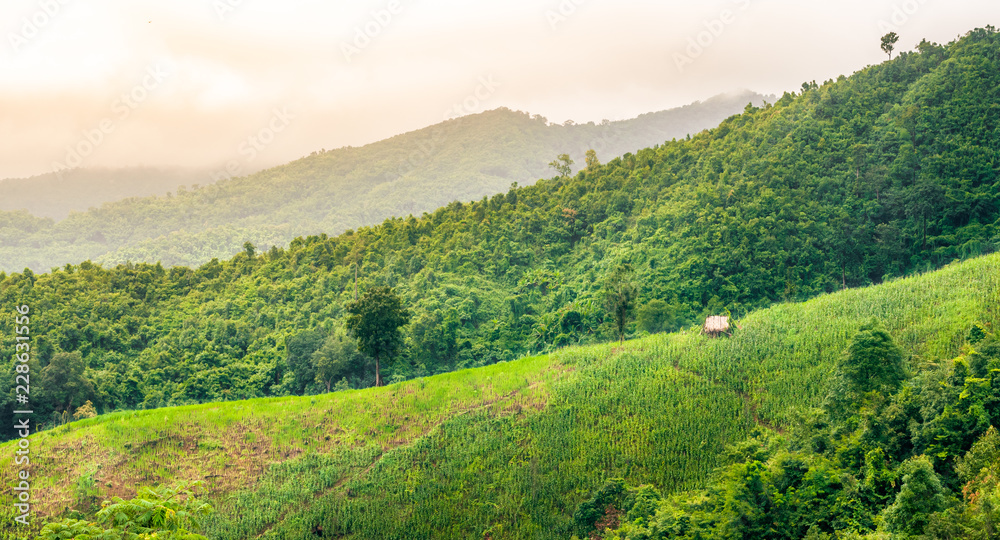 Obraz premium Mountain of corn farm with little cottage in countryside