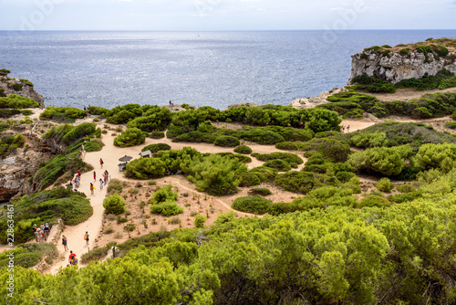 Weg Mittelmeer Cala sa Almunia Wald Mallorca photo