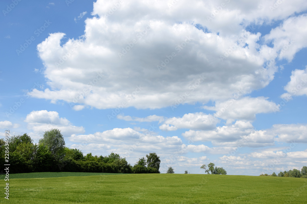 Feld mit Wolken